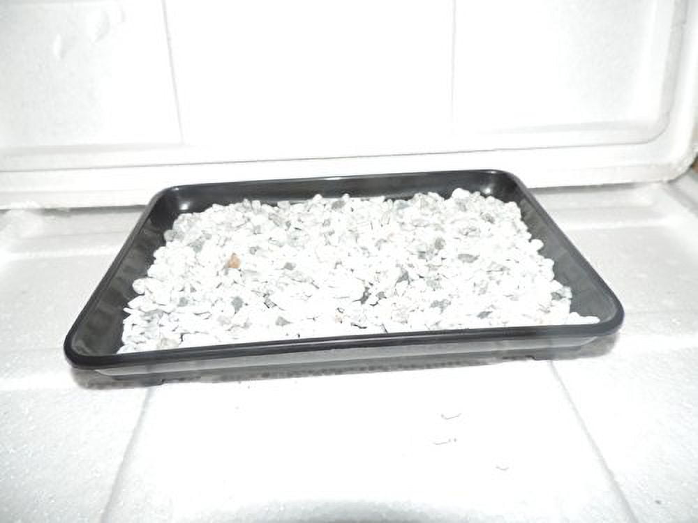  Bonsai Humidity Drip Tray 10" L X 7" W With Pebbles