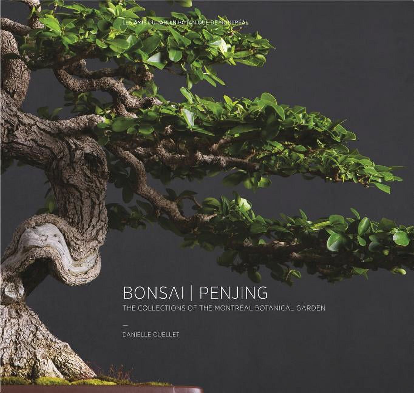 Bonsai Penjing: The Collections of the Montral Botanitcal Garden  (Hardcover) - Walmart.com