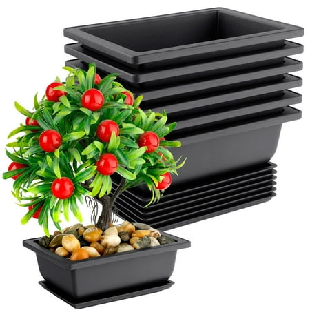 Bonsai Pot, Pack Of 6 Rectangle Bonsai Training Pots with Trays for Potted Plants, Plastic Flowerpot Bonsai Planter for Living Room Office Yard Garden