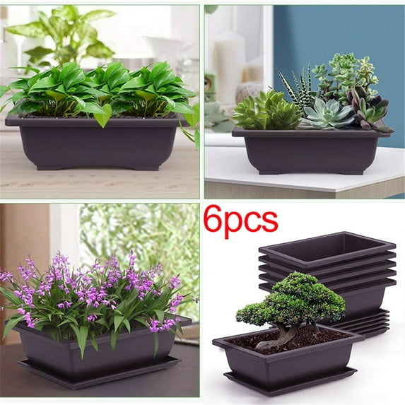 Bonsai Pots,Bonsai Tree Pots,Bonsai Training Pots,for Indoor Plants Bonsai Pots with Drainage Tray and Built-In Mesh,Durable Plastic Bonsai Tree Pot with Irrigation Holes,(16.5X12X6Cm )