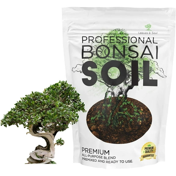 Bonsai Potting Mix All Purpose Pot Soil for Indoor Plants, 2.2 Quart Bag
