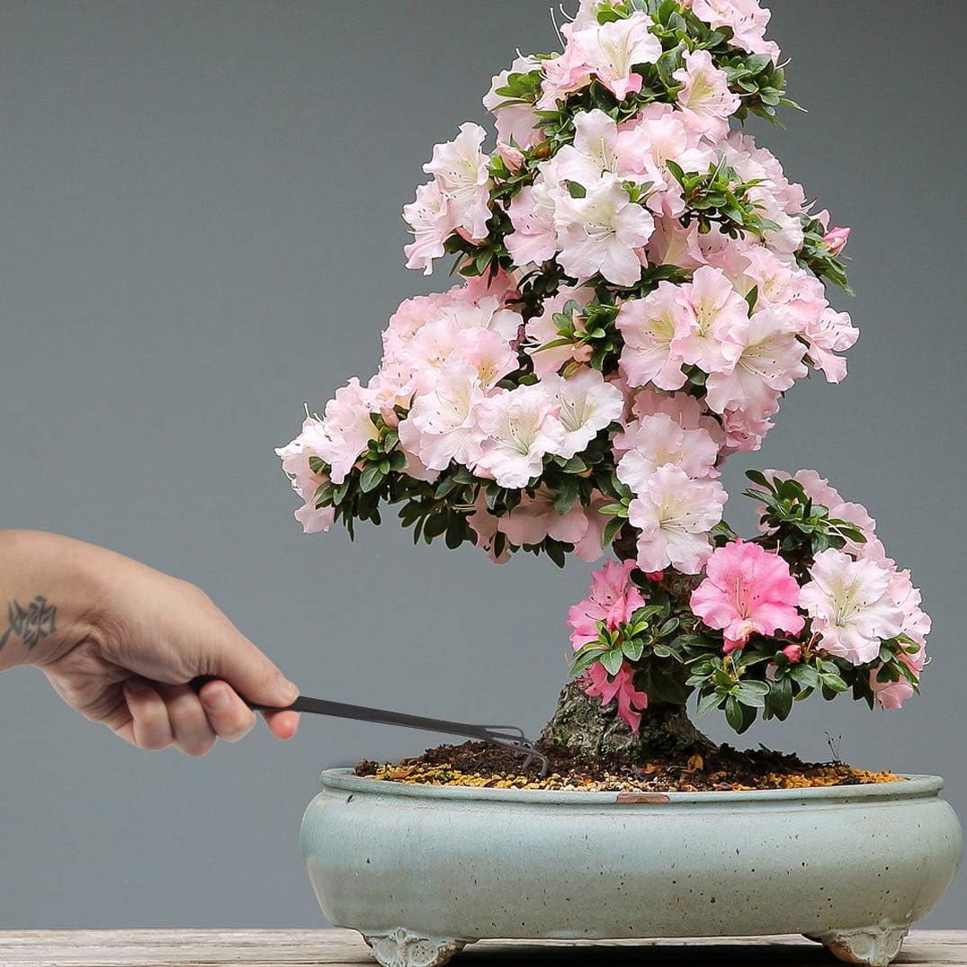 Bonsai Root Rake Tool 1 Piece