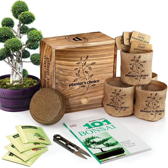 Bonsai Starter Kit - DIY Bonsai Gardening Gift - Garden Hobbies for Adults, Women & Men : 4 Unique Tree Seeds, Soil, Pots, Pruning Shears, Plant Markers + Wood Gift Box - Mom Gifts Ideas, Growing Kits