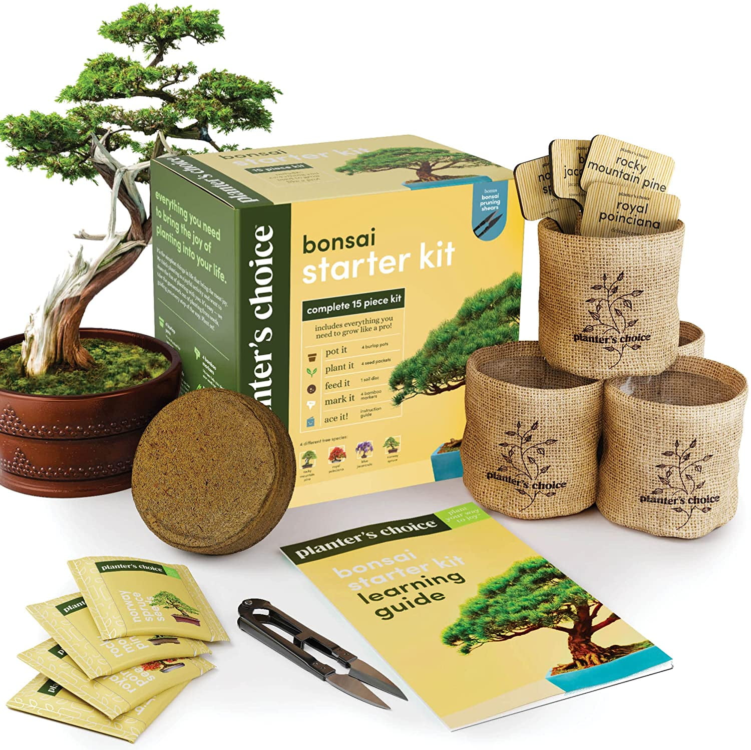 BONSAI TREE KIT. Grow 6 types seeds Gardening Gift Set plus Bonsai tools &  pots
