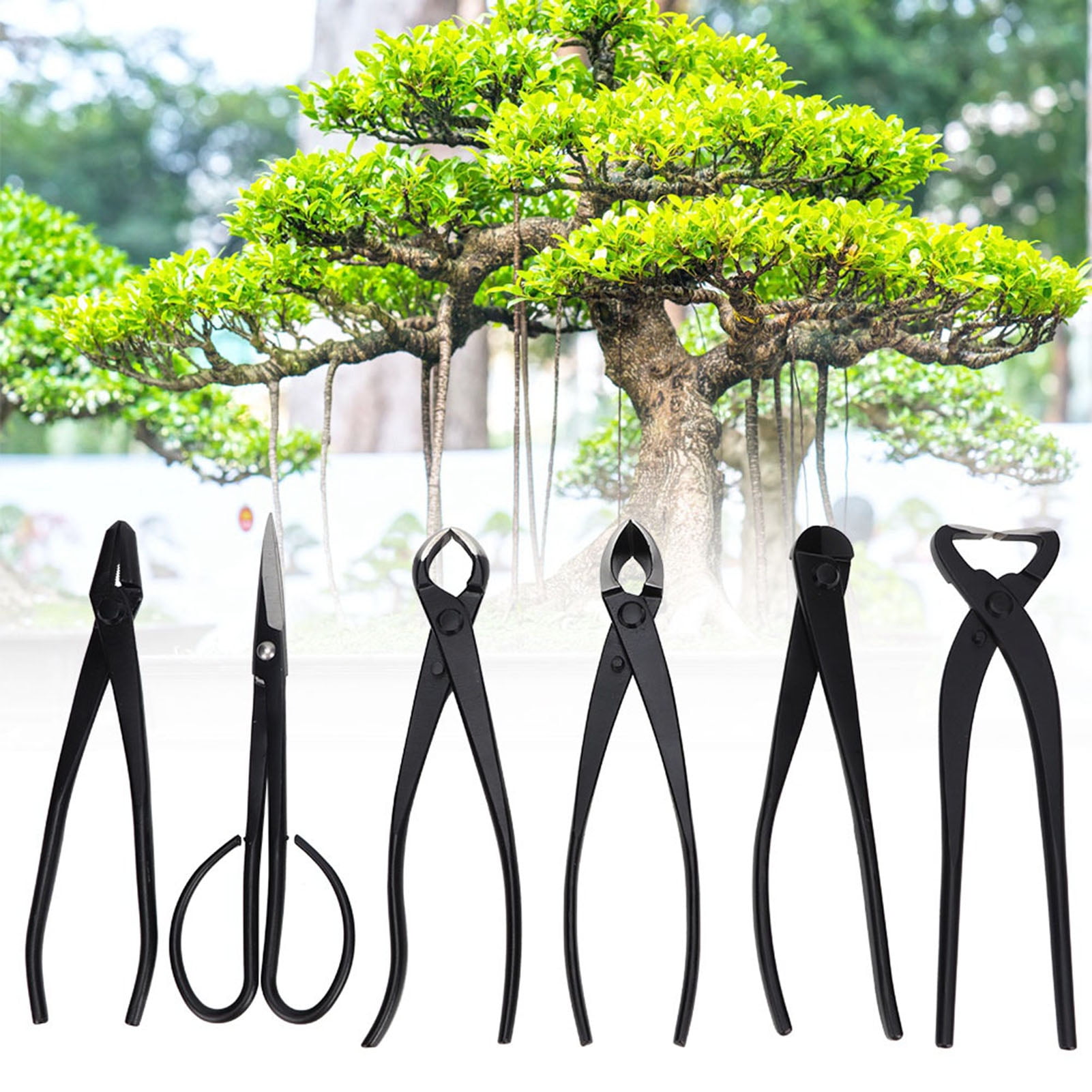 Bonsai Tool Kit, 6 Piece Bonsai Tree Scissors Shear Tool Set With