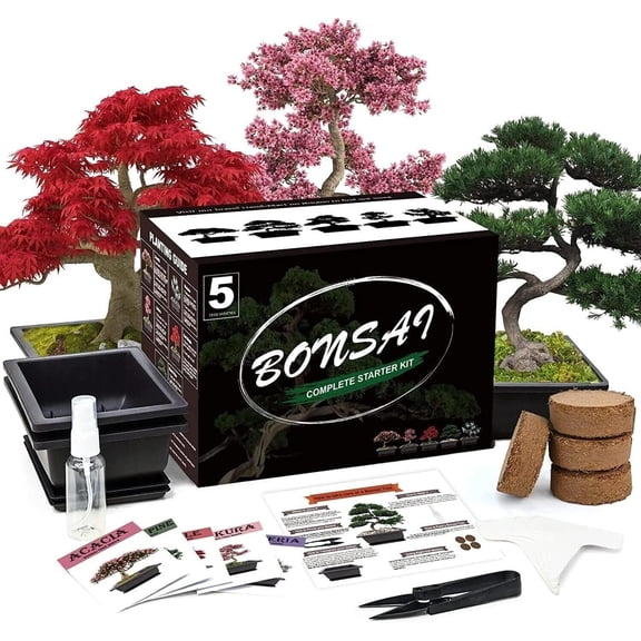 Bonsai Tree Growing Kit 5-Pack Unique Tree Types , Special DIY Indoor Plant Hobby Kits, Gardening Gift for Men, Women, Beginners & Nature Lovers