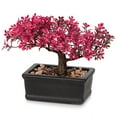 thumbnail image 1 of GnFlus Bonsai Tree Juniper Faux Plants Pink, 1 of 6