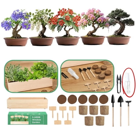 Bonsai Tree Kit – Bonsai Starter Kit | Complete Indoor Starter Kit for Growing Bonsai Plants with Tools & Planters – Gardening Gifts for Women & Men