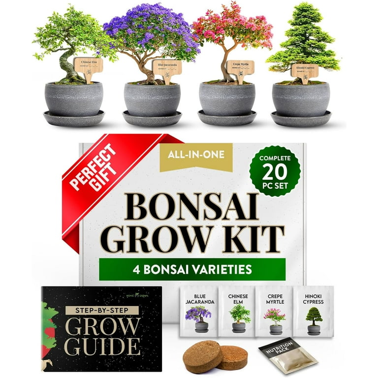 Bonsai Tree Kit  Easy to Grow 4 Species of Bonsai w/Our Complete Plant Kit:  Bonsai Pots & Peat Pellets Including a Bonus in-Depth Grow Guide | Great  Gardening Gifts for Women