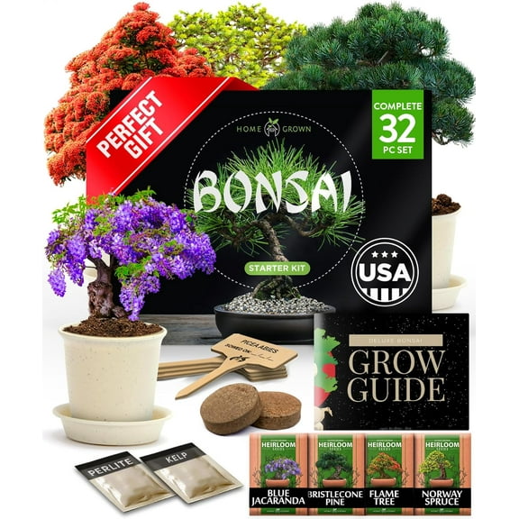 Bonsai Tree Kit - Gifts for Men & Women - Grow 4 Bonsai Trees - Unique Gardening Crafts for Adults, DIY Hobbies for Plant Lovers & Gardeners - Unusual Christmas Gift Ideas for Mom & Dad