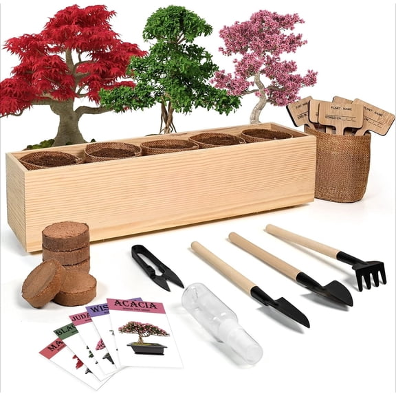 Bonsai Tree Kit with Complete Growing Starter Kit, Great Potted Growing DIY Gift for Adults