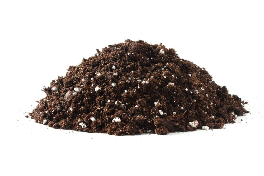 Bonsai Tree Soil All Purpose Blend CZ Grain Brand 100 Organic All