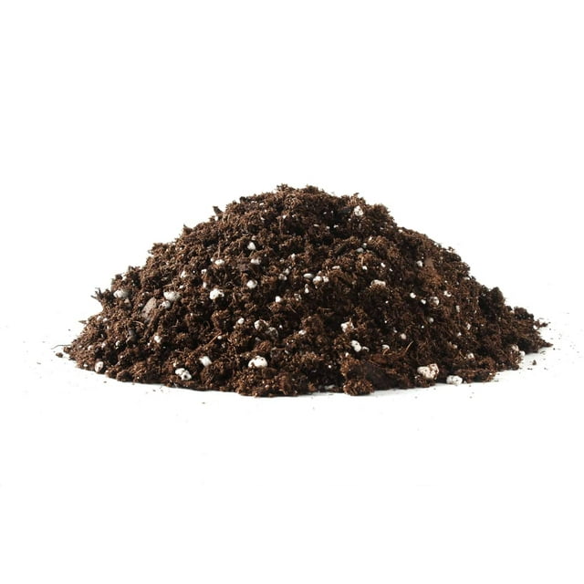 Bonsai Tree Soil All Purpose Blend CZ Grain Brand 100 Organic All