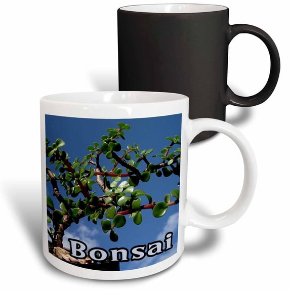 3drose, Bonsai W Text Photograph Portulacaria Afra Tree 1, 11oz Magic Transforming Mug