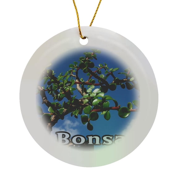 3drose, Bonsai W Text Photograph Portulacaria Afra Tree 1, Circle Porcelain Ornament