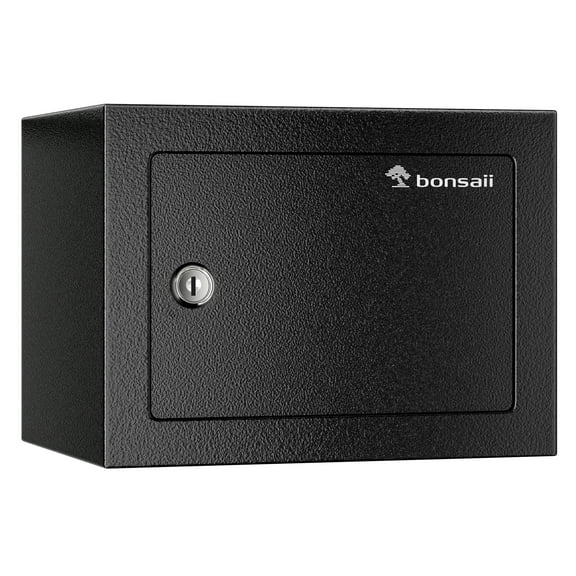 Bonsaii 0.22 Cubic Feet Safe Small Home Money Safe Box with Key Lock