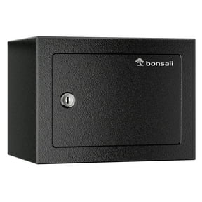 Little Safe Mini Electronic Safes for Home Office Travel and Personal Security