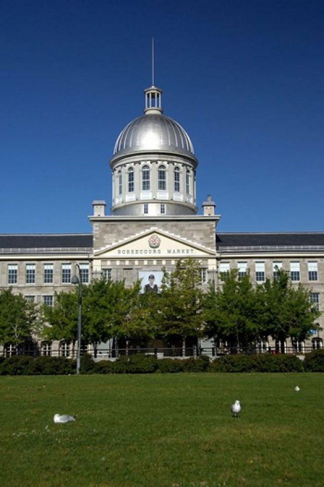 Bonsecours Market Canvas Art - Cindy Miller Hopkins DanitaDelimont (24 x 36)