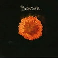 thumbnail image 1 of Bonsur, 1 of 1