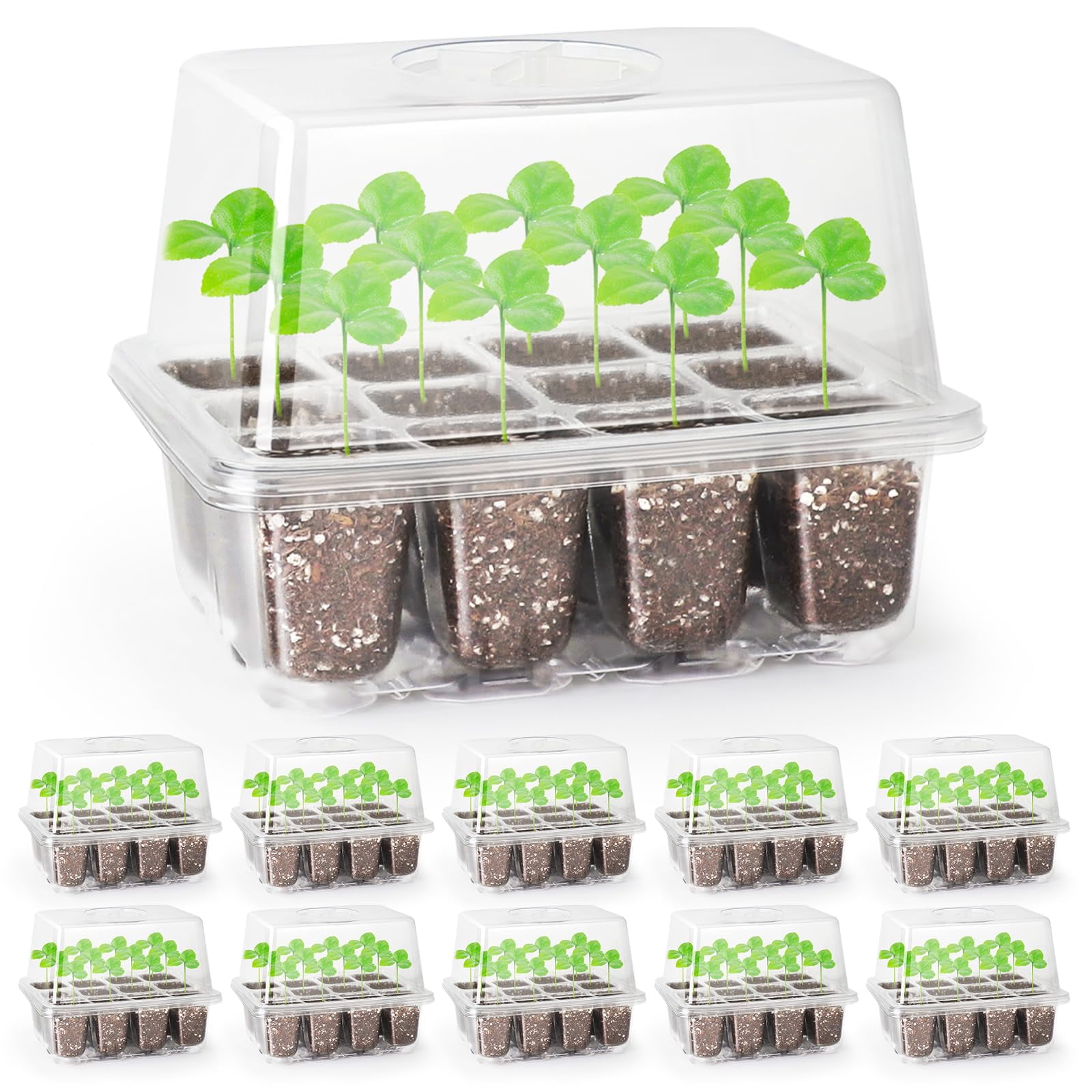 Clear Elevated Seed Starter Tray with Adjustable Dome Lid