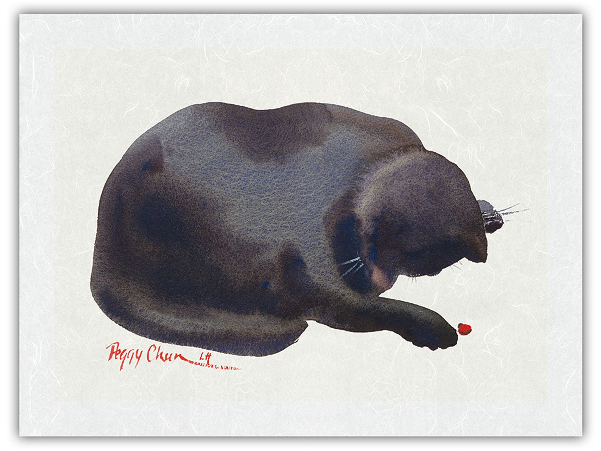 Boo And Bug - Hawaiian Black Cat (ʻeleʻele Popoki) with Lady Bug - From ...