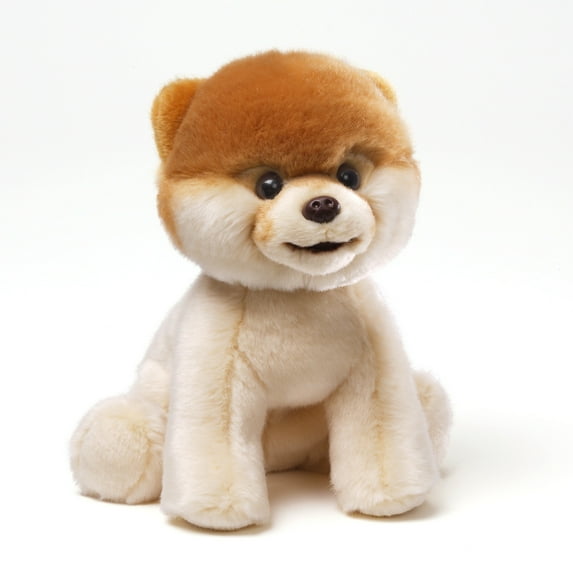 Boo- Worlds Cutest Dog (Other)