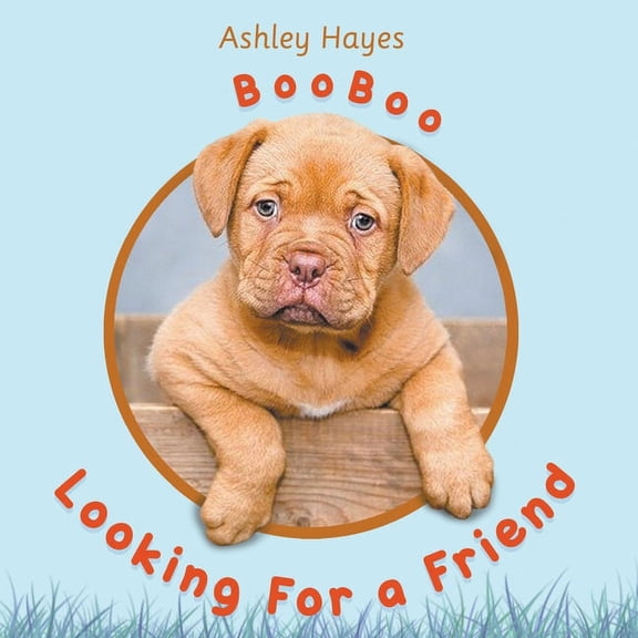 Booboo Looking for a Friend, (Paperback)
