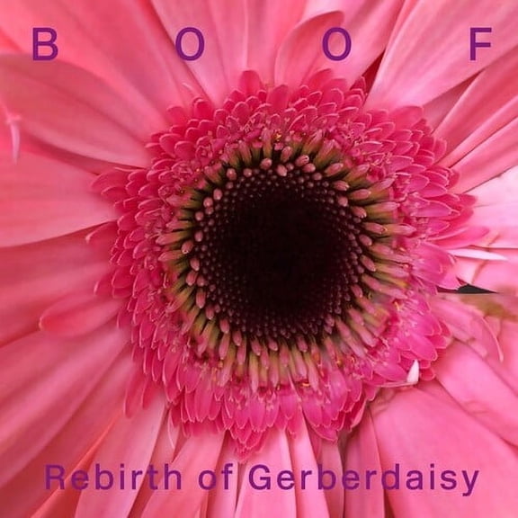 Boof - Rebirth of Gerberdaisy - Music & Performance - Vinyl