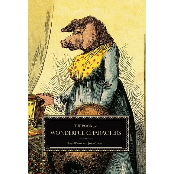 The Book of Wonderful Characters: Memoirs and Anecdotes of Remarkable and Eccentric Persons in All Ages and Countries, (Hardcover)