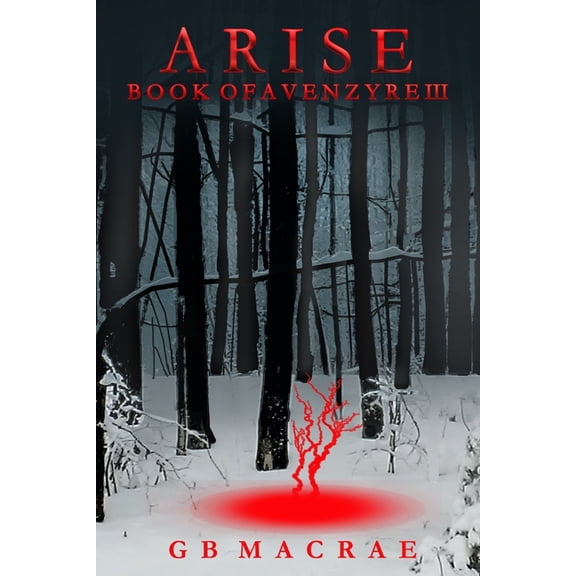 Book of Avenzyre: Arise (Paperback)