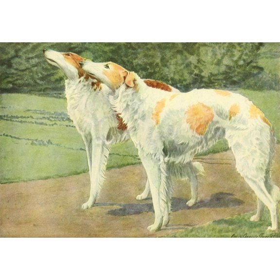 Book of Dogs 1919 Russian Wolfhound Poster Print by L.A. Fuertes
