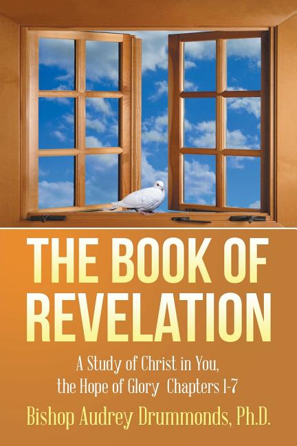Revelation: The Triumph Of God (Lifeguide Bible Studies) By R. Paul Stevens - Good Condition
