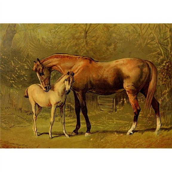 Book of the Horse 1880 Thoroughbred mare and foal Poster Print by  Alfred Corbould