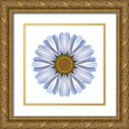 thumbnail image 1 of Bookbinder, David 12x12 Gold Ornate Wood Framed with Double Matting Museum Art Print Titled - Kaleidoscope White Daisy, 1 of 4