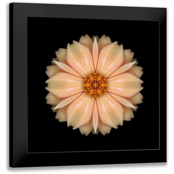Bookbinder, David 15x15 Black Modern Framed Museum Art Print Titled - Kaleidoscope Peach Dahlia