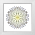 thumbnail image 1 of Bookbinder, David 15x15 White Modern Wood Framed Museum Art Print Titled - Kaleidoscope Dahlia, 1 of 4