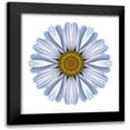 thumbnail image 1 of Bookbinder, David 20x20 Black Modern Framed Museum Art Print Titled - Kaleidoscope White Daisy, 1 of 5