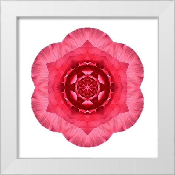 Bookbinder, David 20x20 White Modern Wood Framed Museum Art Print Titled - Kaleidoscope Begonia