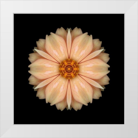 Bookbinder, David 26x26 White Modern Wood Framed Museum Art Print Titled - Kaleidoscope Peach Dahlia