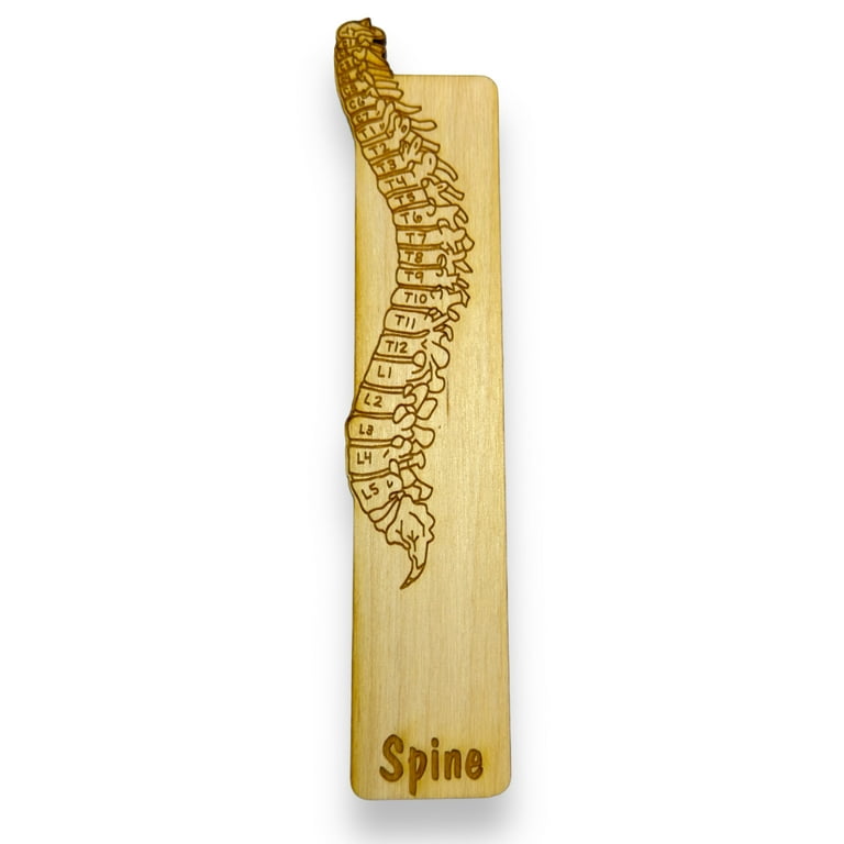Bookmark - Spine Anatomy - Birch wood Bookmark - Spine Anatomy - Birch wood