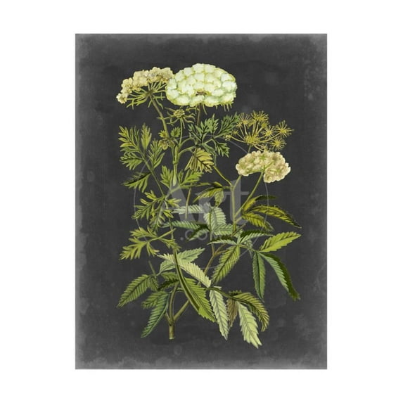 Bookplate Floral I, Botanical Unframed Art Print Wall Art by Naomi McCavitt Sold by ArtCom