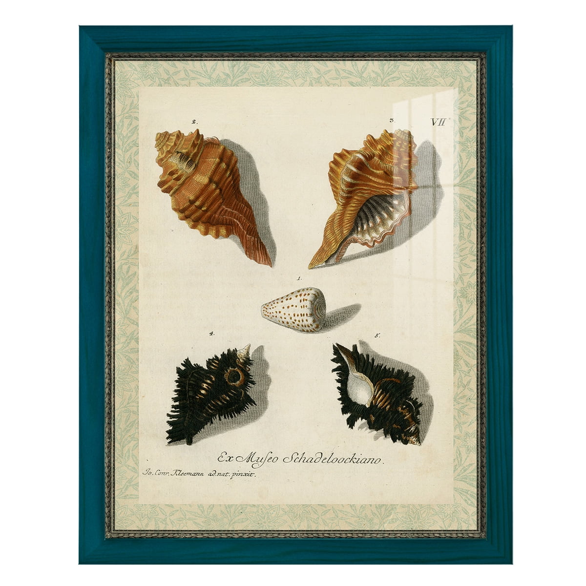 Bookplate Shells I - Framed Print w/glass - Ocean Blue