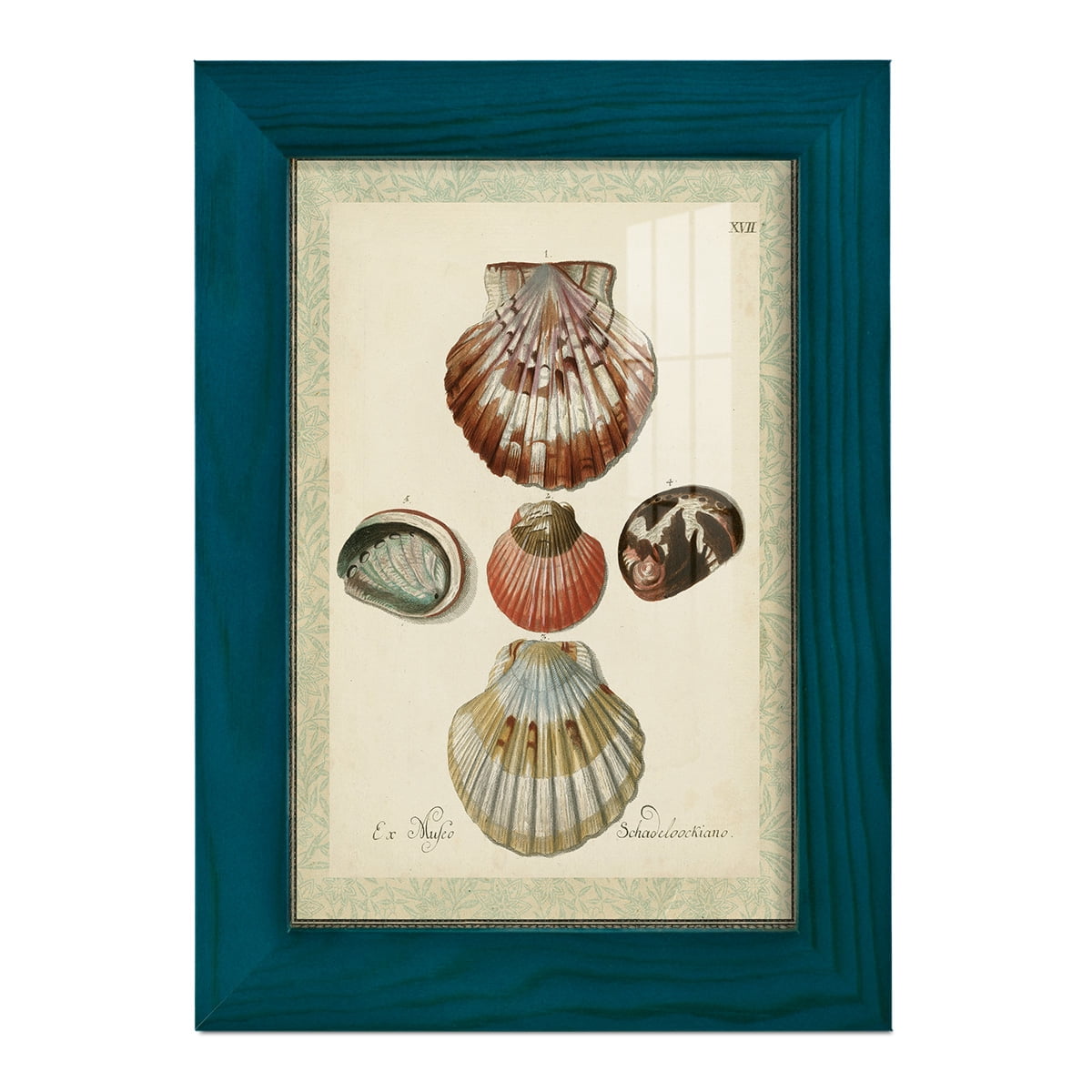 Bookplate Shells III - Framed Print w/glass - Ocean Blue