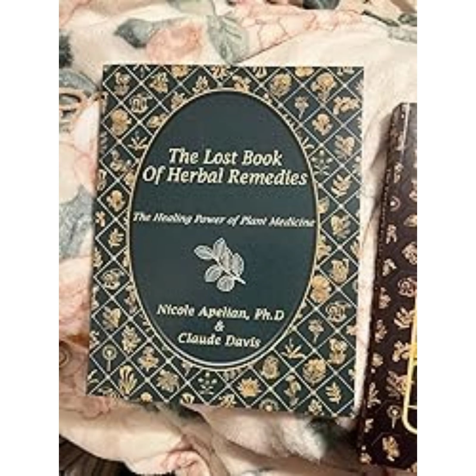 Books Clearance The Lost Book of Herbal Remedies I Uncovering Ancient