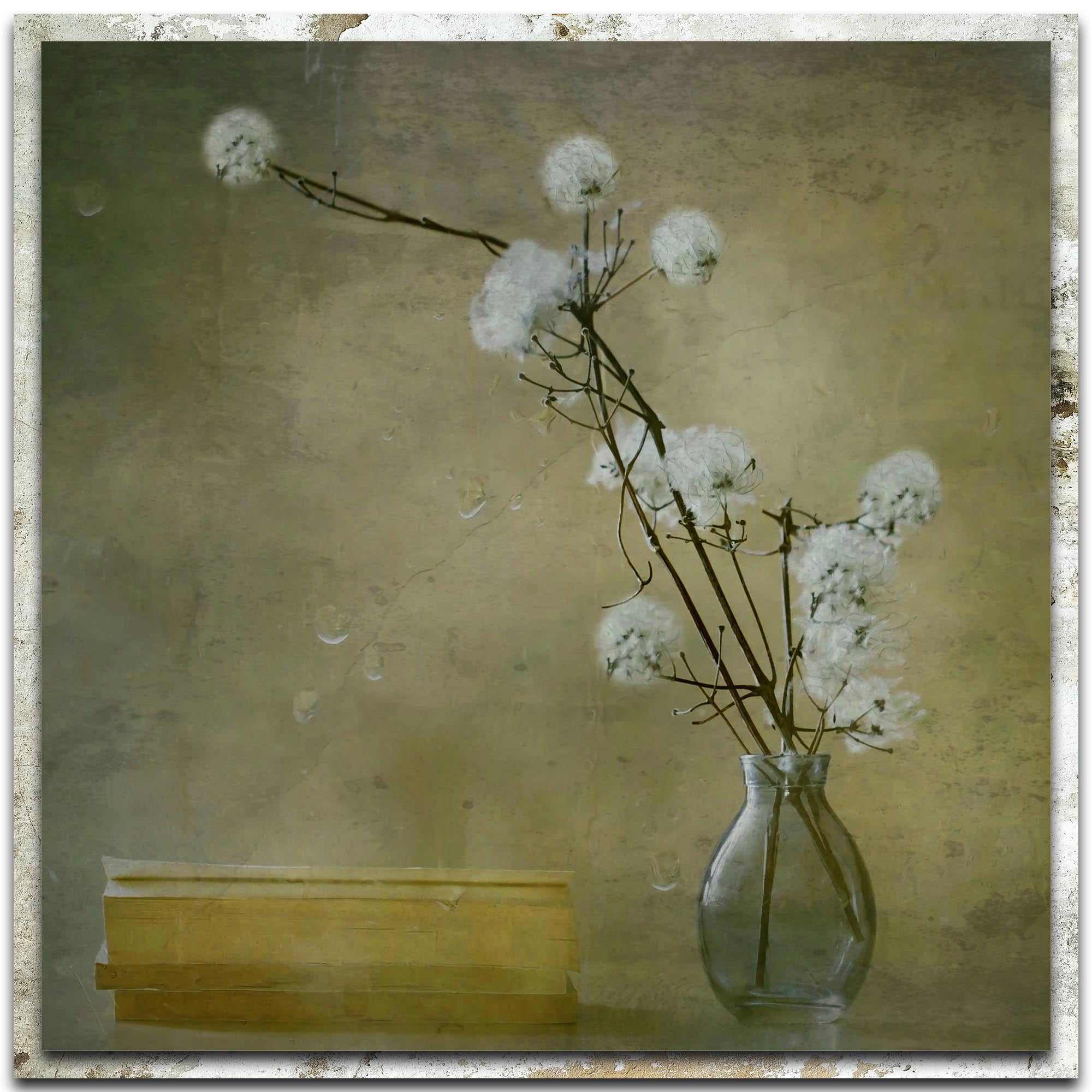 Books Distressed Frame