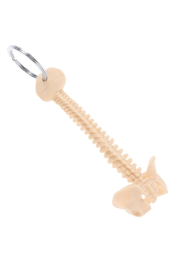 WORGEOUS Pvc Spine Model Keychain For Teachers In School 1Set 3.73X1.18X0.98in