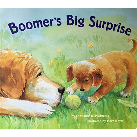 Pre-Owned Boomer's Big Surprise (Paperback) 0439133076 9780439133074
