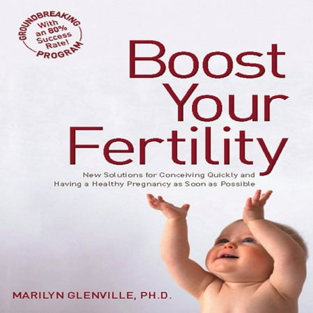 Boost Your Fertility : New Solutions for Conceiving Quickly and Having a Healthy Pregnancy as Soon as Possible (Paperback)