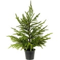 thumbnail image 1 of Bootesun 2FT Tabletop Artificial Norfolk Pine Tree - 24" Faux Tree Potted Green for Front Porch Christmas Decorations, Indoor Outdoor Christmas Ornament, 1 of 10