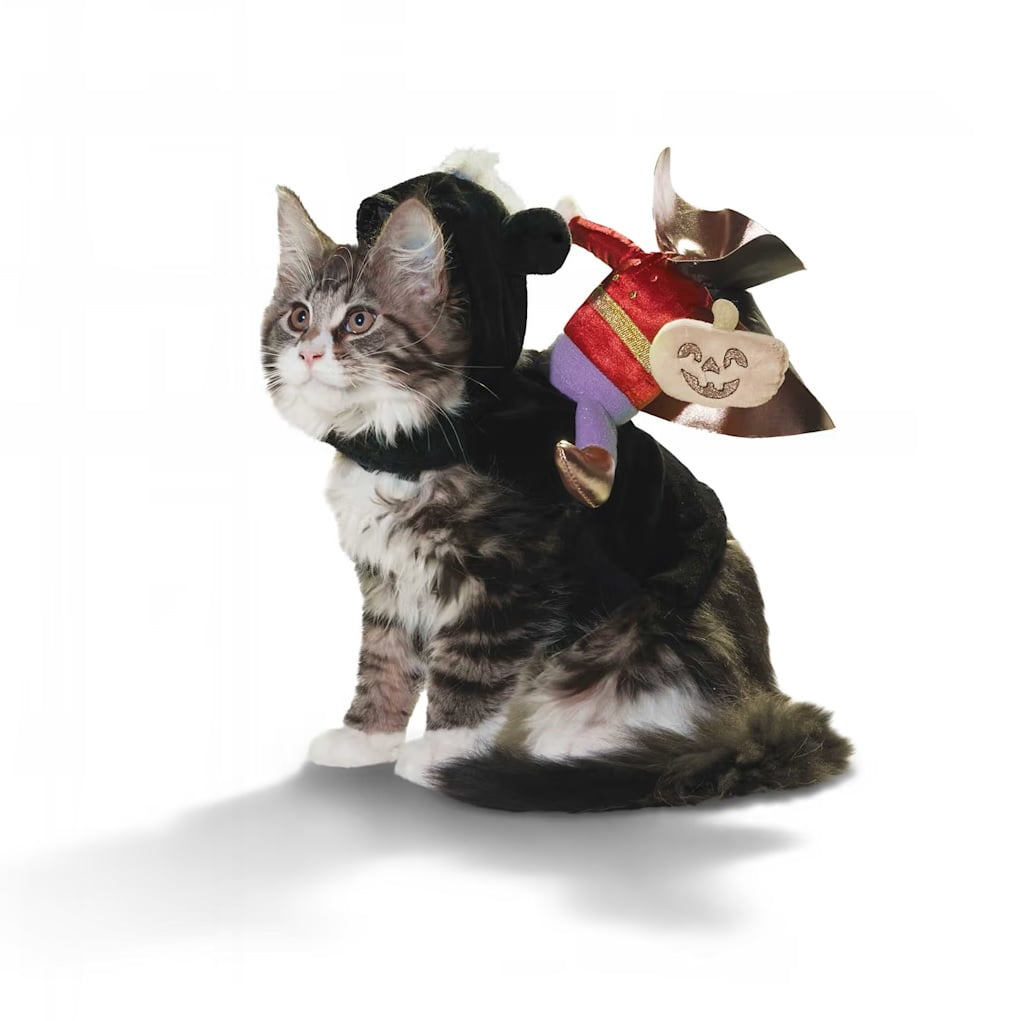 Bootique Headless Horseman Illusion Costume for Cats, S/M Small/Medium Pet Halloween Outfit